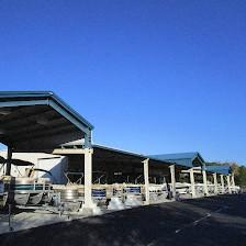 Homosassa Marine