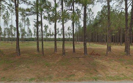 Markipinelier Tree Farm