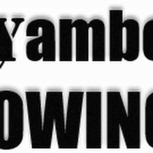 Yambo Towing and Transporting
