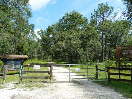 Green Swamp Wilderness Preserve - East Tract