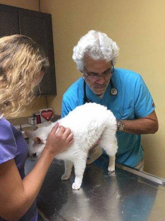 Manatee Veterinary Clinic