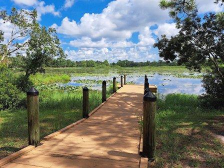Lake Jervey Nature Path at SCF North Port