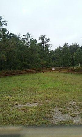 WD Cattle Co LLC