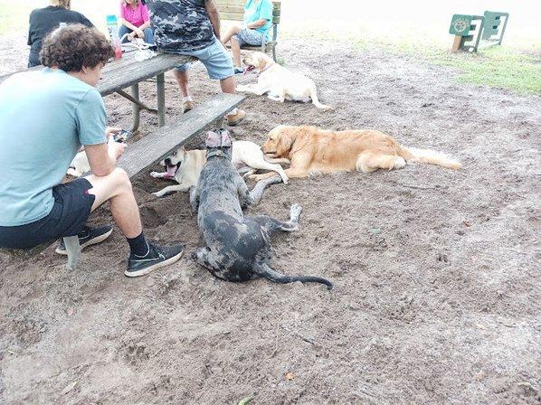 Rotary Centennial Dog Park