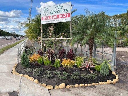 The Greenery of Tampabay