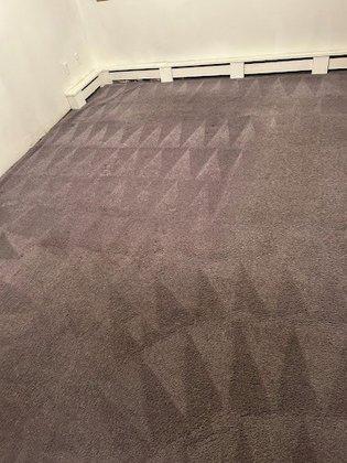 Busy Bees Carpet and Floor Care, Inc