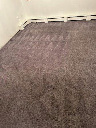 Busy Bees Carpet and Floor Care, Inc
