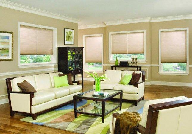 New Port Blinds