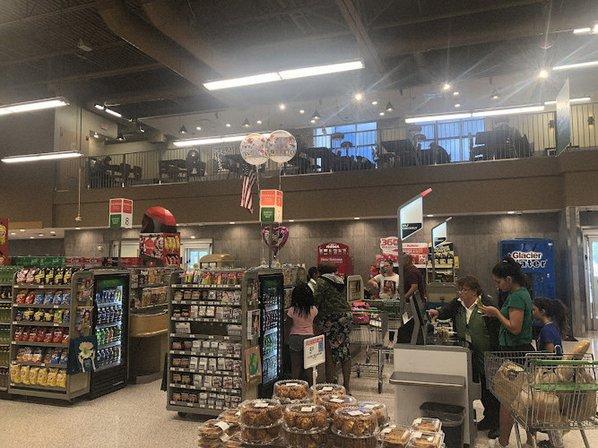 Publix Super Market at Loughman Crossing