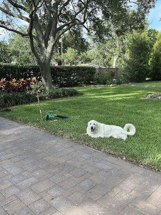 Pet Stop of Florida