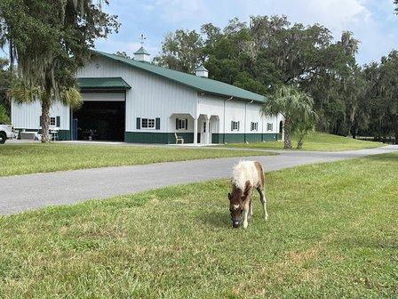 The Eagles Rest Ranch