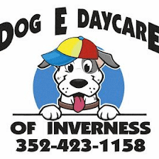Dog E Daycare Of Inverness