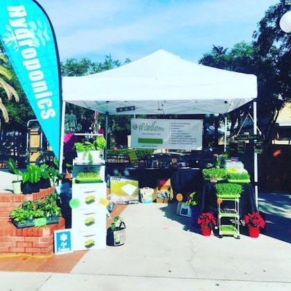 Wicked Green LLC