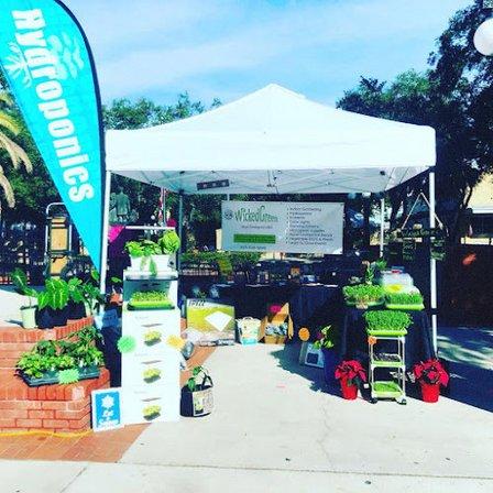 Wicked Green LLC