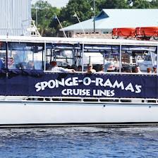 Island Adventure Dolphin Cruise Tarpon Springs