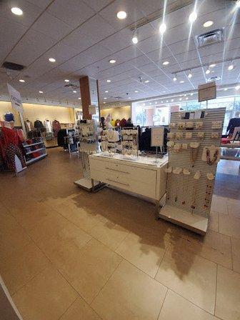 Lane Bryant