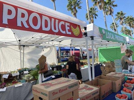 Venice Florida Farmers Market