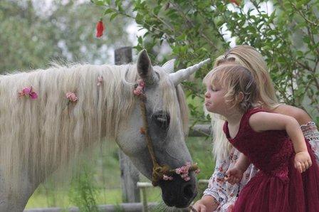 Epona Place