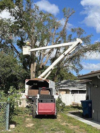 ArborHaul