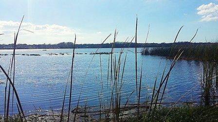 John Chesnut Sr. Park