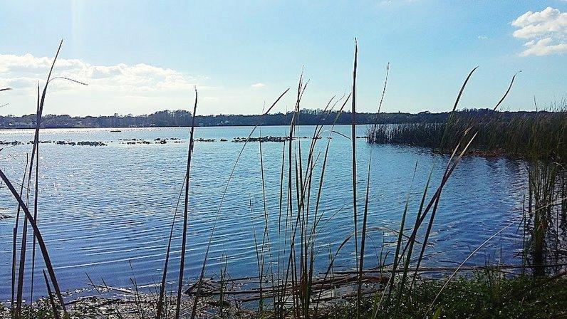 John Chesnut Sr. Park