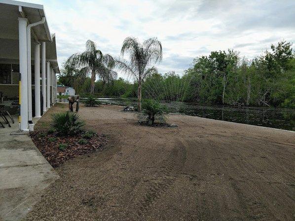 Coachwood Colony