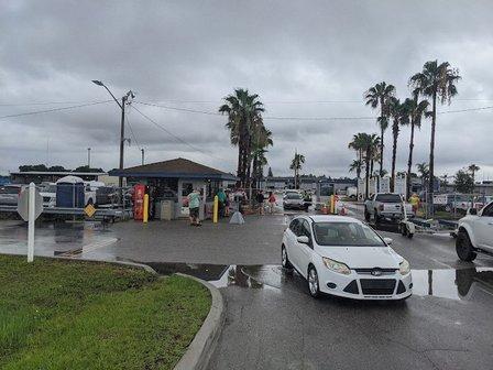 Manheim Lakeland
