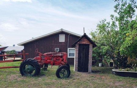 Fruitville Grove