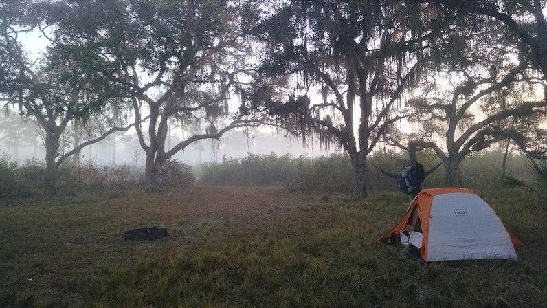 Bee Island Primitive Campsite