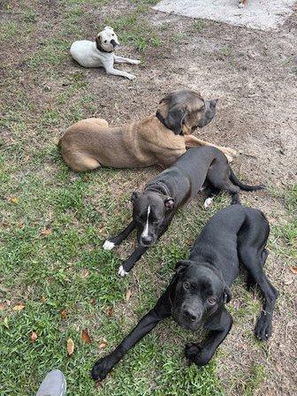 Bruce’s Best Boys (and Girl’s)