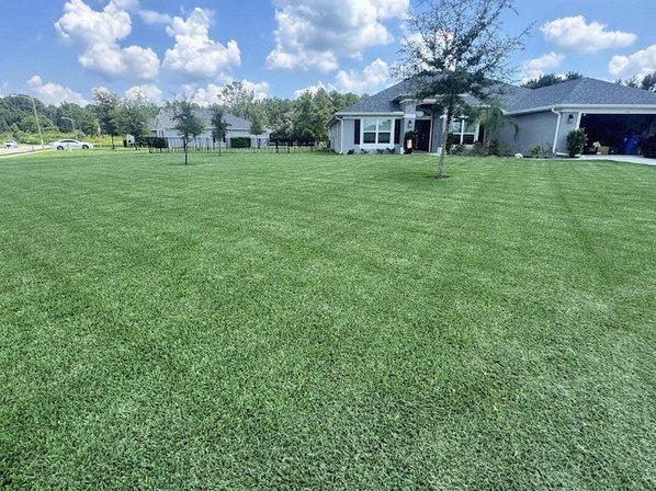 Turf Tactics LLC