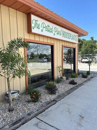 The Potted Plant