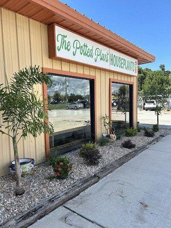The Potted Plant