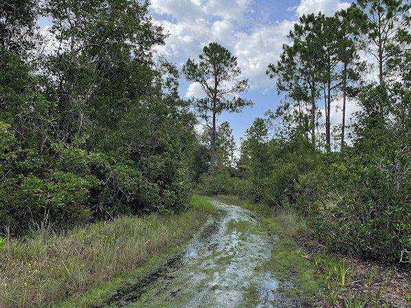 Gator Creek Reserve
