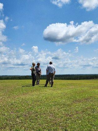 Backroads Consulting
