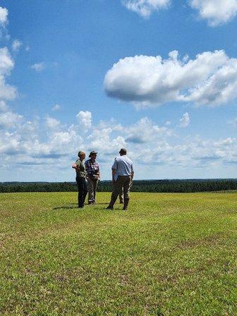 Backroads Consulting