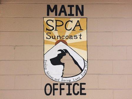 SPCA Suncoast