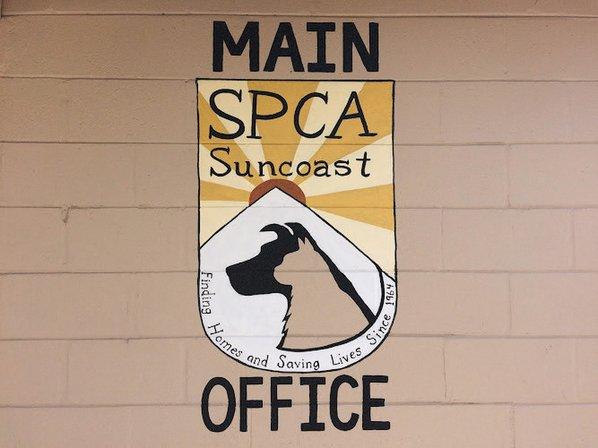 SPCA Suncoast