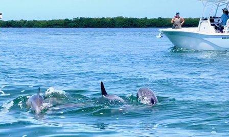 Little Philly Boat & Jet Ski Rentals - Little Philly Sea Adventures