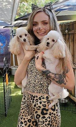 Beverly Hills Dog