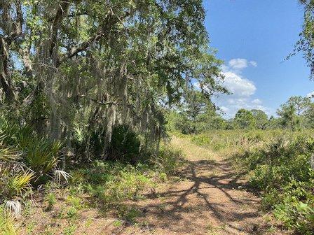 Curry Creek Preserve : East Entrance