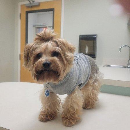 Lakeland Veterinary Hospital & Wellness Center