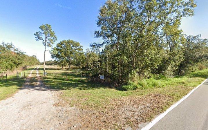 Florida Blueberry Nursery