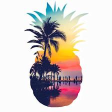 Sarasota Insurance Group