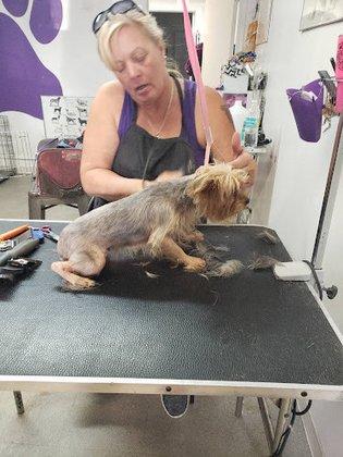 Kelly's Pet Grooming