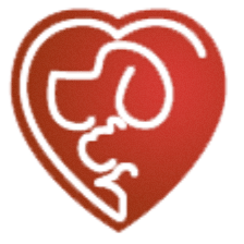 Bay Road Animal Hospital