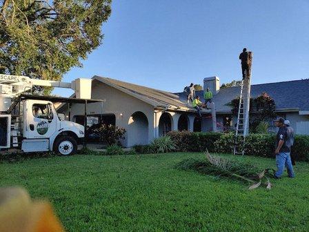 Castillo Tree & Lawn Service Inc