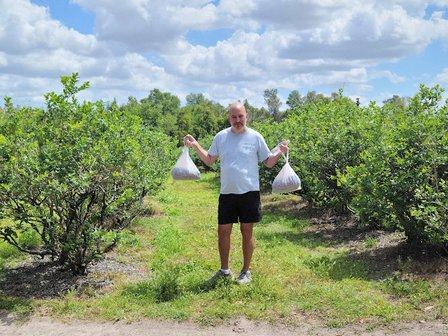 Green Acres Blueberry Farm
