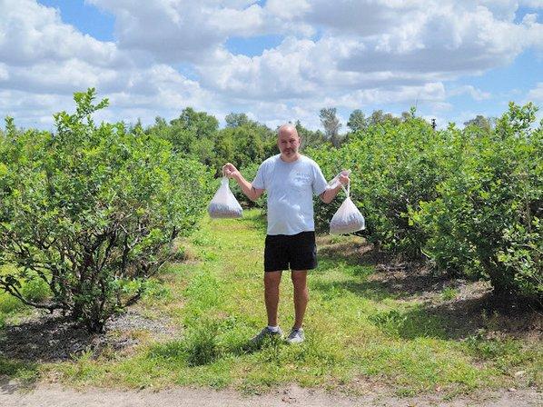 Green Acres Blueberry Farm