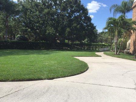 Pat's Lawn Service